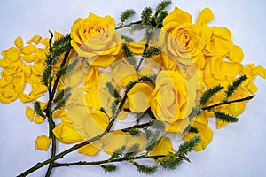 Flowers decoration photography spring motif yellow roses with green branches.
