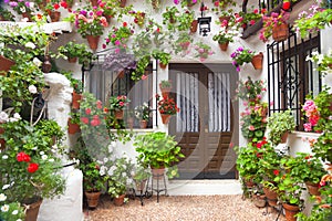 Flowers Decoration of Vintage Courtyard, Spain, Europe