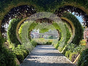 Flowers decorations in Miracle garden, hearts, Dubai, amazing colorful park