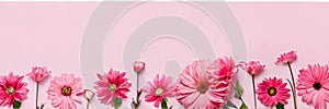 flowers on a delicate pink background in pastel colors