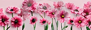 flowers on a delicate pink background in pastel colors