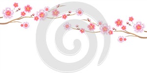 Flowers design. Branches of Sakura isolated on white background. Apple-tree flowers. Cherry blossom. Vector EPS 10 cmyk