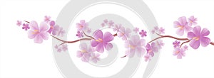 Flowers design. Flowers background. Apple tree flowers. Branch of sakura with Purple flowers isolated on White color background