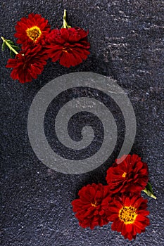 Flowers in different corners on a stone background photo