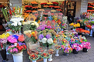 Flowers on display at flower shop