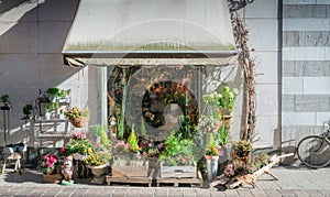 Flowers on display on the street in a flower shop