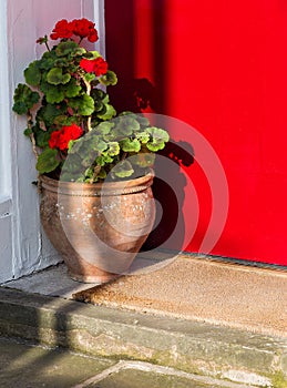 Flower Pot and Welcome Mat on Doorstep