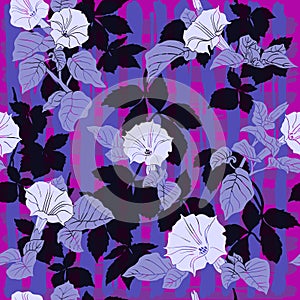 Flowers of dope on the purple black pattern photo