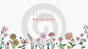 Flowers drawing. Floral background. Color blossoms. Meadow nature. Wildflowers line sketch. Outline blooming plants