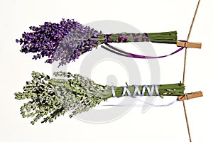 Flowers drying on clothesline