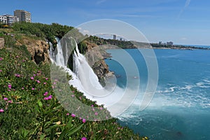 Flowers at Duden Waterfall in Antalya, Turkey in Spring