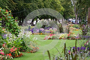 Flowers on the embankment Bedford, UK.