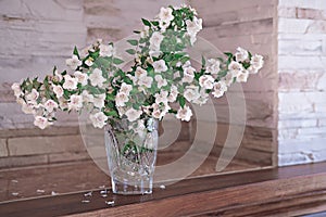 Flowers of an English dogwood or sweet mock-orange in a vase