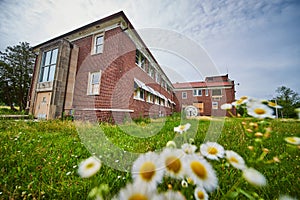 Flowers and field outside of old abandoned brick building in midwest America