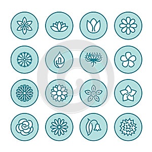 Flowers flat line icons. Beautiful garden plants - chamomile, sunflower, rose flower, lotus, carnation, dandelion