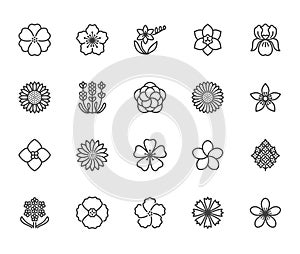 Flowers flat line icons. Beautiful garden plants - sunflower, poppy, cherry flower, lavender, gerbera, plumeria