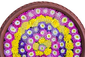 Flowers floating on the water in the pottery basin isolate white background.