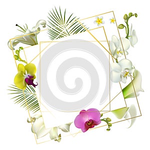 Flowers. Floral background. Lilies. Callas. White orchids. Green leaves. Yellow. Buds. Tropical flowers.