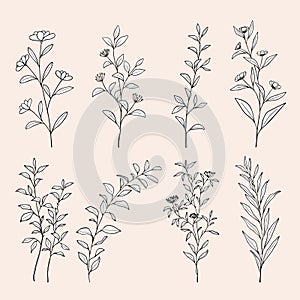 Flowers floral line art drawing. Hand drawn outline floral botanical leaves for wedding invitation save the date card.