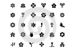 Flowers or Floral Vector Icons 6 photo