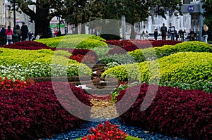 Flowers on the flower bed volumetric flower beds design of city parks autumn flowers on a flower bed are very beautiful