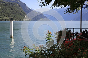 The flowers are in a flower box by Lake Lucerne