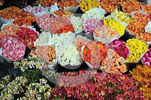 Flowers in the flower market