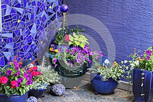 Flowers and flower pots