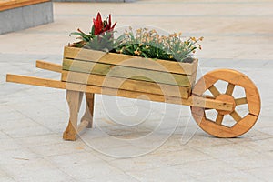 Flowers in flowerbox