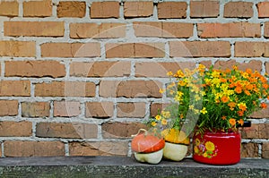 Flowers in flowerpot on the brick wall background