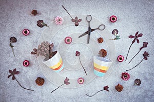 Flowers and flowerpots on dark concrete background