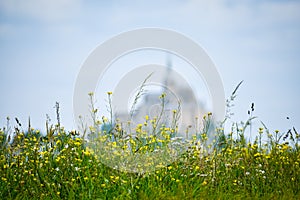 Flowers in the foreground with defocused silhouette of Mont Saint Michel, France. Copy space for text.