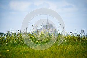 Flowers in the foreground with defocused silhouette of Mont Saint Michel, France. Copy space for text.