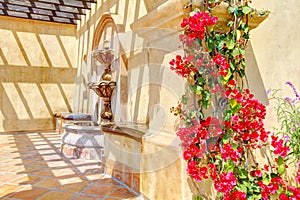 Flowers and fountain on Spanish wall details. photo