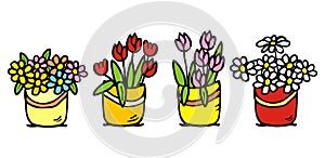 flowers in a pot, set