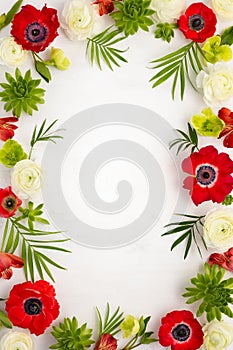 Flowers Frame composition. Arrangement of red anemone,white ranunculus, tropical flowers, green succulent and leaves on light