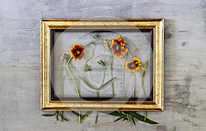 Flowers in the frame on a concrete background. Minimal concept. Creative