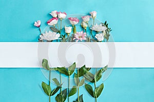 Flowers in frame isolated on blue background. Spring concept