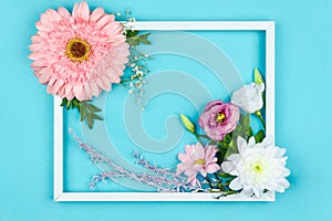 Flowers in frame isolated on blue background. Spring concept