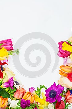 Flowers frame in white background isolated