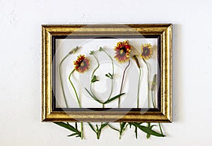 Flowers in the frame on a white background. Minimal concept. Creative