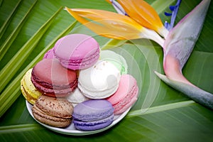 Flowers and French Macaroons photo