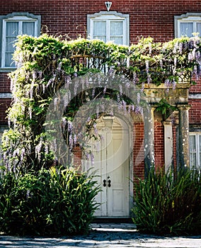 Flowers in front of brick wall and white wooden door