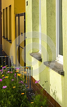 Flowers front garden housing colourful