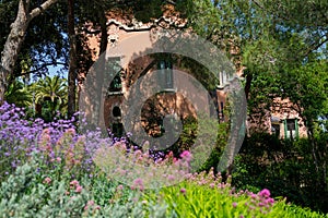 Flowers in front of a Gaudi`s House-Museum in the Park Guell.