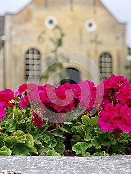 Flowers in front of the H. Nicolaaskerk