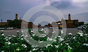 Flowers in front of  Rashtrapati bhawan