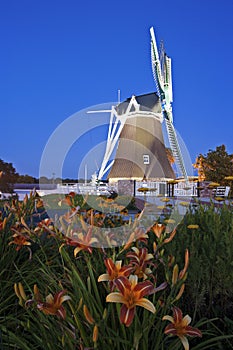 Flowers in front of windmill