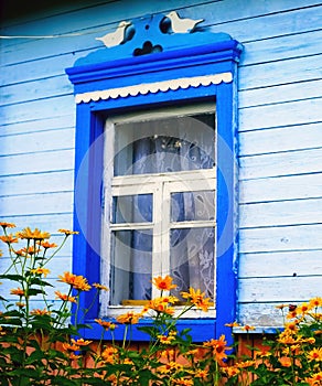 Flowers in front of the window of the old house. Summer landscape.