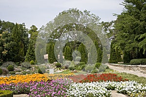 Flowers in garden